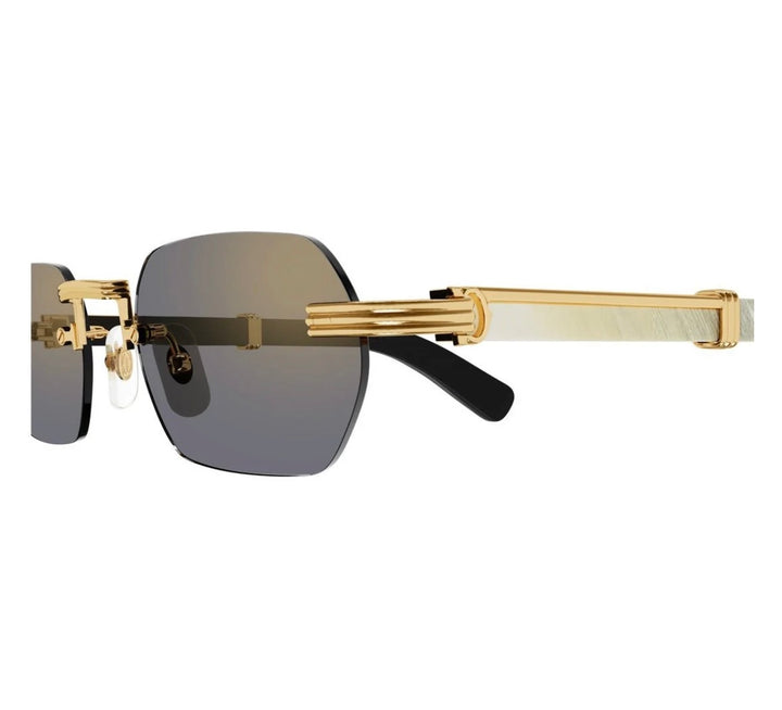 CARTIER EYEWEAR MULTICOLOR SUNGLASSES