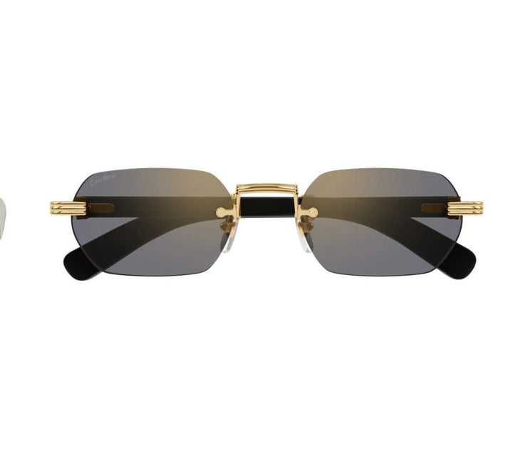 CARTIER EYEWEAR MULTICOLOR SUNGLASSES